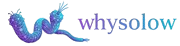 WhySolow