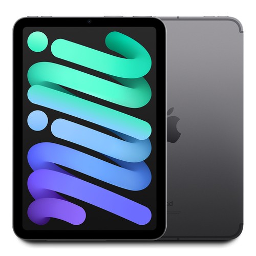 2021 Apple iPad Mini 6 256GB WiFi/ Cellular 8.3" - (Space Gray) A2568 w/Warranty