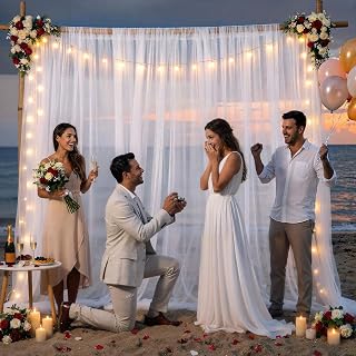 28x10FT Sheer Tulle Curtain Backdrop with LED String Lights Tulle Arch Draping Curtain for Wedding Proposal Ceremony, Sheer Canopy Drape for Birthday Baby Shower Garden Party Photo Booth Decor