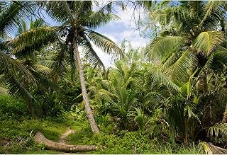 9x6ft Tropical Island Backdrops for Photography Dinosaur Theme Background | Coconut Palm Trees Photo Background Island Dinosaur Backdrop Summer Prehistory Dino Theme Birthday Banner Baby Shower Decor