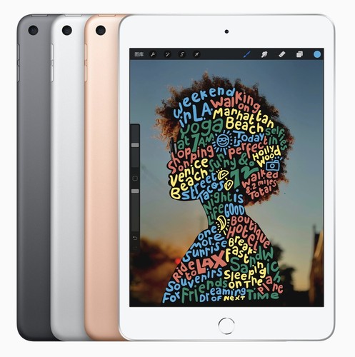 Apple iPad mini 5th Gen 64GB WiFi 7.9" (2019) &ndash; Good &ndash; Warranty