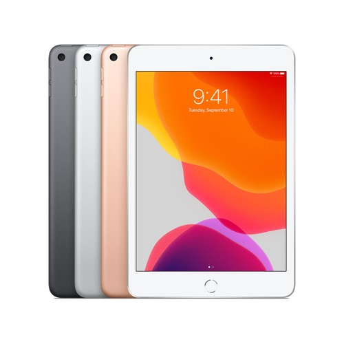 Apple iPad Mini 5th Gen 7.9in  64GB/256GB - WIFI ONLY - Excellent