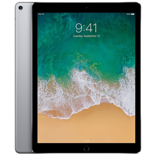 Apple iPad Pro 12.9 (2nd Gen) (WiFi + Cellular Unlocked) 256GB Gray (Excellent)