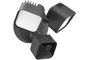 Blink Wired Floodlight Camera - Smart security camera, 2600 lumens, HD live view, enhanced motion detection, built-in siren, Works with Alexa &ndash; 1 camera (Black)