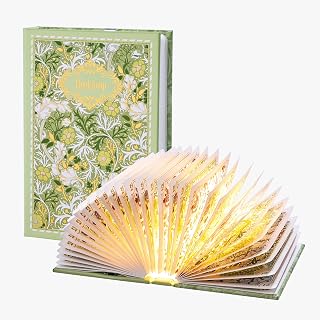 Book Lamp Decor, Gift for Book Lovers, Rechargeable Book Light | Reading Light, Portable Paper Lamp with Touch Control, Decor for Home Library Bookshelf, Gift for Women Readers (Green)