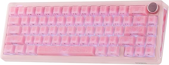 EPOMAKER TH65 Wireless Mechanical Gaming Keyboard with Knob & 8000mAh | Adjustable Kickstand for Comfort Typing, 65%, BT/2.4GHz/USB-C, Hot-Swap, Creamy& Thocky Gasket (Pink, Clear)