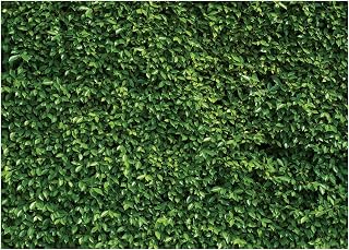 Green Leaves Wall Photography Backdrop Nature Scenery Background for Photo Studio Wedding Birthday Party Baby Shower Outdoor Theme Events Props 10x8FT 10923