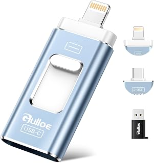 Gulloe 256GB Dual Interface Flash Drive for Phone Storage Photos Videos, Phone USB Backup External Photo Memory Stick - No App Required, Compatible with iPhone, iPad, Android & PC (Mist Blue)