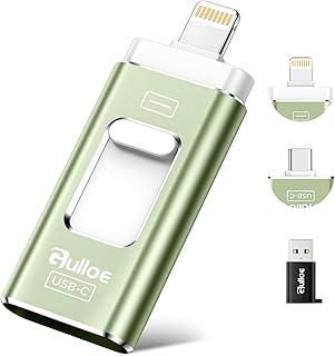 Gulloe 512GB Dual Interface Flash Drive for Phone Storage Photos Videos, Phone USB Backup External Photo Memory Stick - No App Required, Compatible with iPhone, iPad, Android & PC (Light Green)