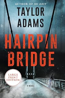 Hairpin Bridge: A Novel