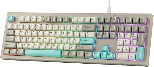 MechLands Aula S102 Membrane Gaming Keyboard w/Number Pad, 100% Full Size | Silent Keyboard for Office/PC Game, USB-C Wired, RGB Backlit, Creamy Silicone Structure, Ergonomic Stands (Grey)