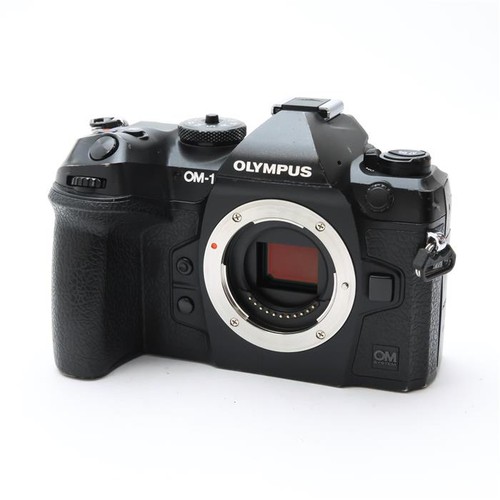 OM SYSTEM OM-1 Mirrorless Camera Body #241