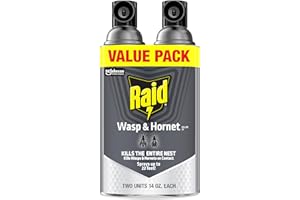 Raid Wasp & Hornet Killer Bug Spray, Kills Entire Nest, 14 oz, 2 Count | Kills Wasps & Hornets on Contact, Sprays Up to 22 Feet