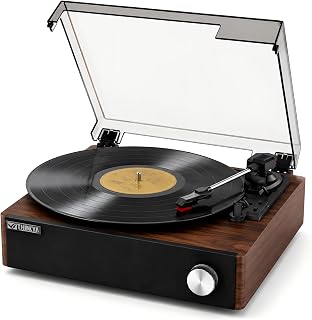 Record Player with Built-in Speakers, Bluetooth Turntable