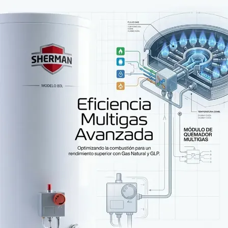 Termotanque 80 Lts Sherman Tpgp080msh13 Gas Conex Sup De Pie Color Blanco