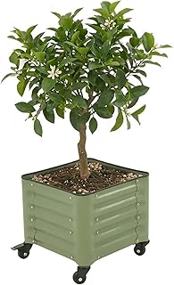 Vego garden Classic Rolling Citrus Tree Planter &ndash; 1.75' Mobile Metal Raised Garden Bed for Patio, Deck, Balcony &ndash; Deep Planting Space, Durable & Easy to Move (Olive Green, 1.75'X1.75')