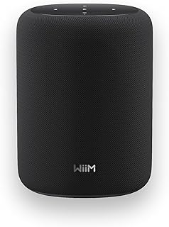 WiiM Sound Lite Smart Speaker, Multi-Room Wireless Speaker, Black | High-fidelity Smart Speaker with Hi-Res Audio, RoomFit tuning, Multi-room Streaming, and Expandable WiiM Ecosystem