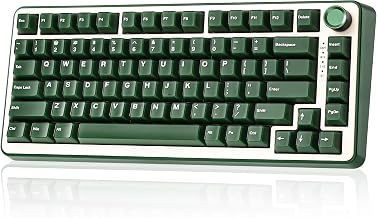 YUNZII B75 PRO Wireless Mechanical Keyboard,75% Layout with Knob,Hot Swap Gasket Structure,Creamy Pre-lubed Switches,RGB Backlit,Bluetooth/Type-C/2.4G for Win/Mac (Olive Green, Milk Switch)